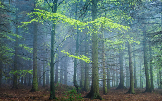 864009 (a): :2560x1600